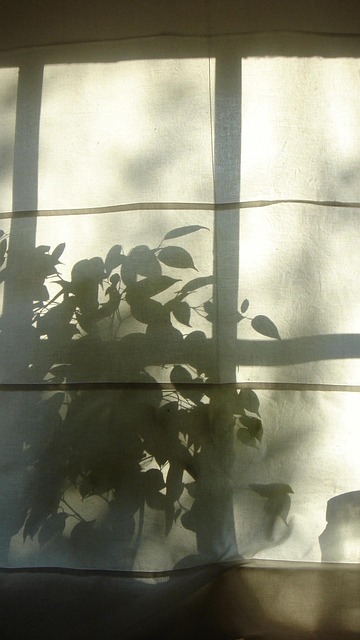 shadow, morning, window, shadow, shadow, shadow, shadow, shadow, window
